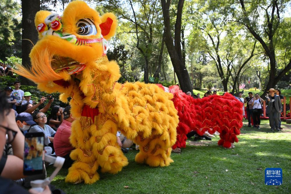 威尼斯娱乐在线